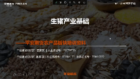 基本面研究课-生猪